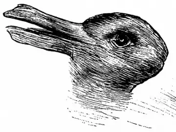 image ambiguë de l'illusion du lapin et du canard