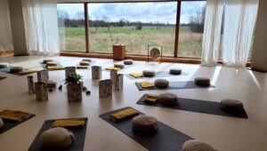 psilocybin retreat facilitation space i nederlandene