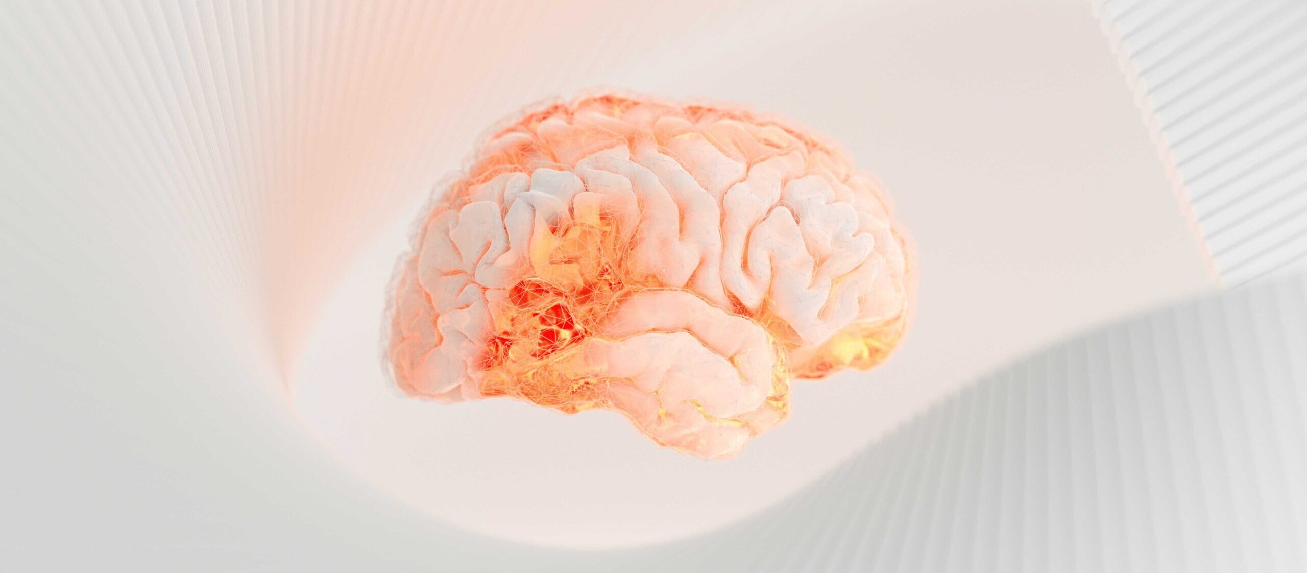 een onderling verbonden brein op SSRI en psilocybine