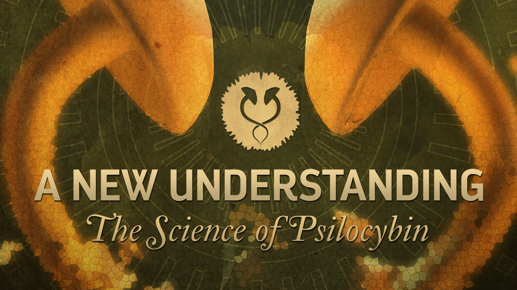 uma nova compreensão da ciência do documentário sobre a psilocibina