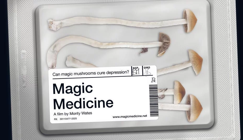magische geneeskunde documentaire van dr. carhart harris van het imperial college in Londen