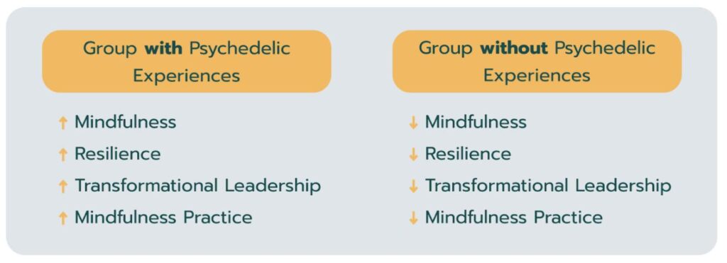 Mindfulness Enhanced Through Psychedelic Experiences 