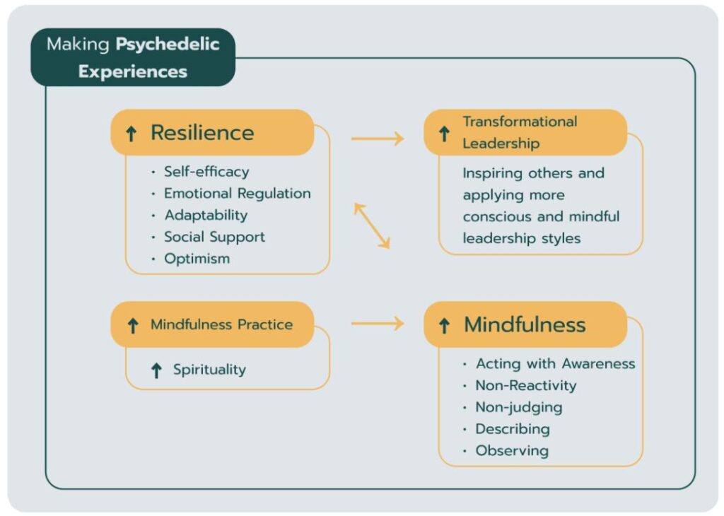 Connection between resilience and mindfulness