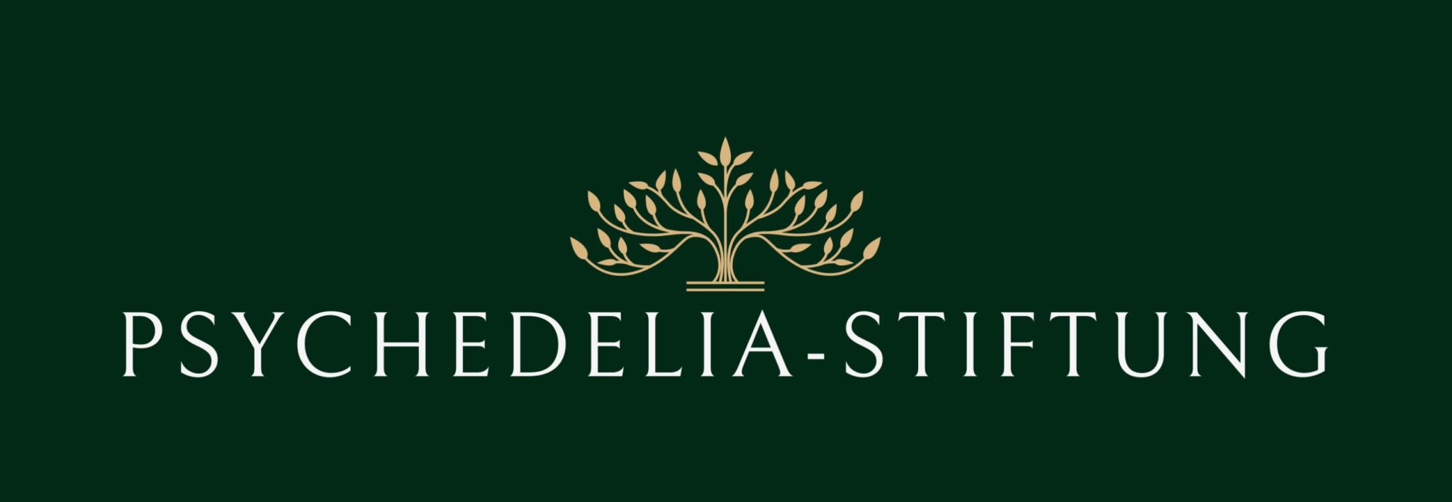 Psychedelia Stiftung