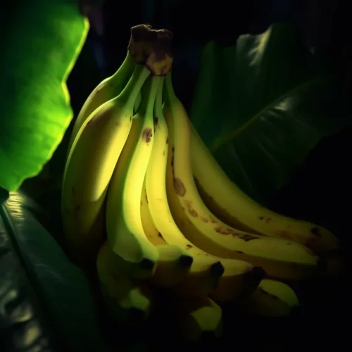 NinoGal_the_most_attractive_and_beautiful_banana_anybody_has_ev_41c7c9aa-1790-45c9-b963-25a90f747d8d